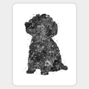 Toy Poodle dog black and white Sticker